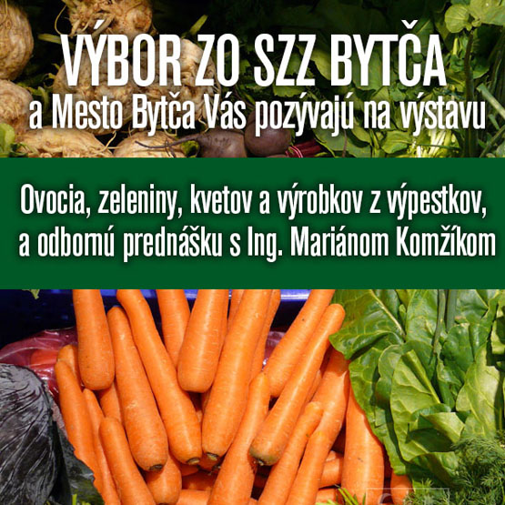 vystava-ovocie-a-zelenina-bigbn