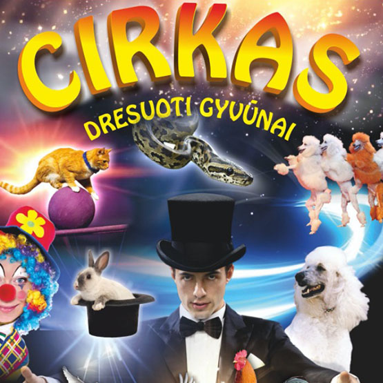 bytca-cirkus-bigbn-2023