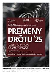 bytca-pmza-premeny-drotu-2025-poster-sm