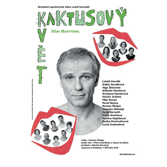 karolinka-kaktusovy-kvet-divadlo-bigbn