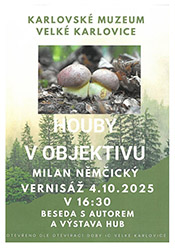 velke-karlovice-houby-v-objektivu-2025-poster-sm